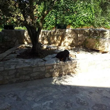 Appartement With Parking Space Rukavac, - 13337 Vis