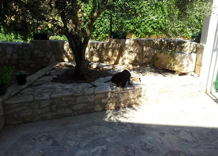 Appartamento With Parking Space Rukavac, - 13337 Vis